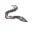 Dead Eel