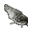 Dead Catfish