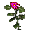 Mystic Herb