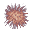 Gnoll Fur Ball