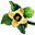 Kaki Çiçeği